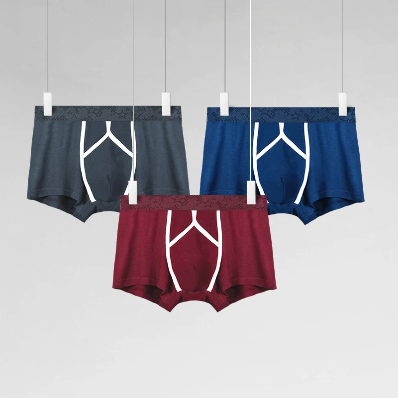Bullet spermatic cord separati - Pouch Boxer Pouch recension och pris