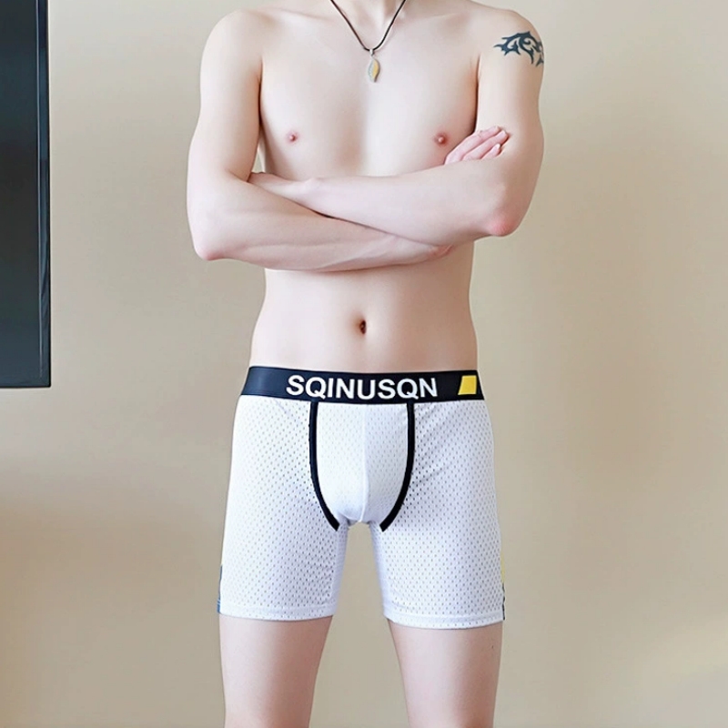 Men's Ice Silk Mesh Boxer Brie - Mesh Sport Boxer recension och pris