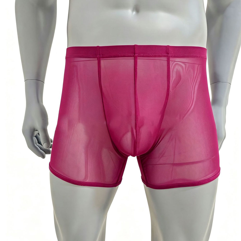 Men Mesh See-through Ultra-thi - Long Leg Trunk Men recension och pris